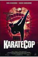 Watch Karate Cop Sockshare