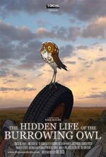 Watch The Hidden Life of the Burrowing Owl (Short 2008) Sockshare
