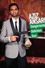Watch Aziz Ansari Dangerously Delicious Sockshare