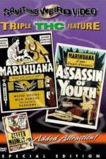 Watch Marihuana Sockshare