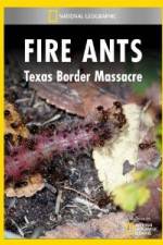 Watch National Geographic Fire Ants: Texas Border Massacre Sockshare