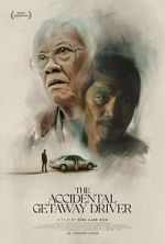 Watch The Accidental Getaway Driver Sockshare