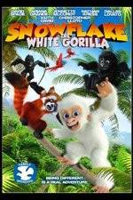 Watch Snowflake, the White Gorilla Sockshare