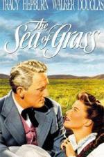 Watch The Sea of Grass Sockshare
