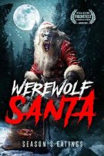 Watch Werewolf Santa Sockshare