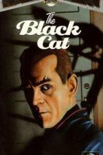 Watch The Black Cat Sockshare