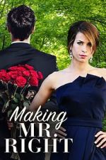 Watch Making Mr. Right Sockshare