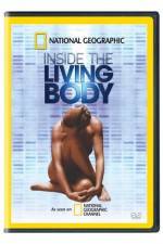 Watch National Geographic The Incredible Human Body Sockshare