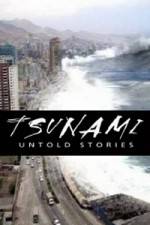 Watch Tsunami: Untold Stories Sockshare
