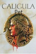 Watch Caligula's Pet Sockshare