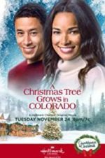 Watch A Christmas Tree Grows in Colorado Sockshare