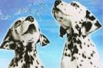Watch 101 Dalmatians Sing Along Sockshare