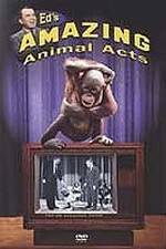 Watch Ed's Amazing Animal Acts Sockshare