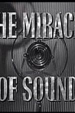 Watch The Miracle of Sound Sockshare