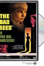Watch The Bad Seed Sockshare