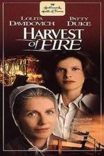 Watch Harvest of Fire Sockshare