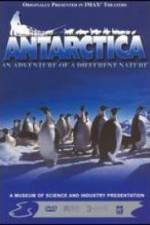 Watch Antarctica Sockshare