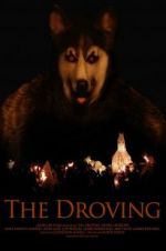 Watch The Droving Sockshare