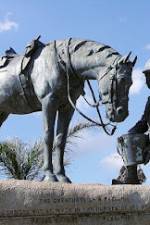 Watch War Horse: The Real Story Sockshare