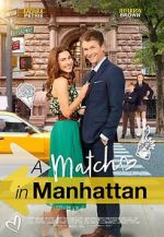 Watch A Match in Manhattan Sockshare