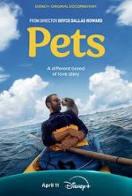 Watch Pets Sockshare