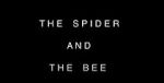 Watch The Spider and the Bee Sockshare