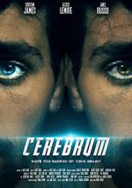 Watch Cerebrum Sockshare