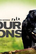 Watch Four Lions Sockshare