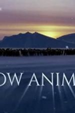 Watch Snow Animals Sockshare