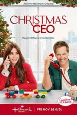 Watch Christmas CEO Sockshare