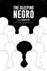 Watch The Sleeping Negro Sockshare