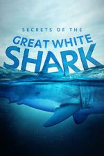 Watch Secrets of the Great White Shark Sockshare