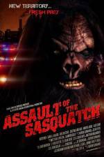 Watch Sasquatch Assault Sockshare