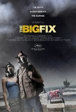 Watch The Big Fix Sockshare