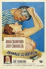 Watch Female on the Beach Sockshare