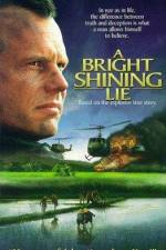 Watch A Bright Shining Lie Sockshare