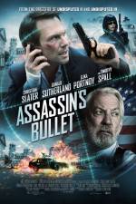 Watch Assassin's Bullet Sockshare