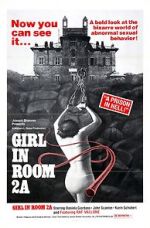 Watch The Girl in Room 2A Sockshare