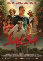 Watch Salsa Sockshare