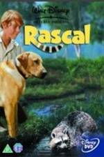 Watch Rascal Sockshare