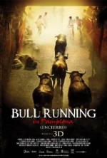 Watch Encierro 3D: Bull Running in Pamplona Sockshare