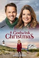 Watch A Godwink Christmas Sockshare