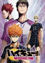 Watch Haiky!! Concept no Tatakai Sockshare