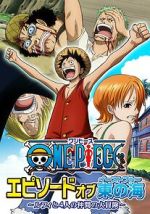 Watch One Piece: Episode of Nami - Tears of a Navigator and the Bonds of Friends Sockshare