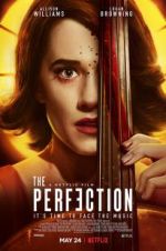 Watch The Perfection Sockshare