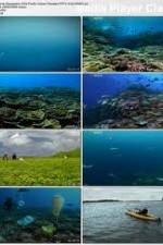 Watch National Geographic: Pacific Ocean Paradise Sockshare