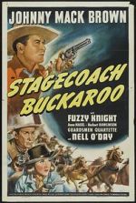 Watch Stagecoach Buckaroo Sockshare