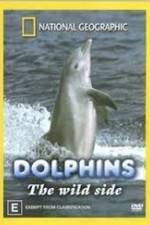 Watch Dolphins: The Wild Side Sockshare