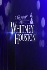 Watch We Will Always Love You A Grammy Salute to Whitney Houston Sockshare
