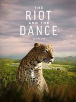 Watch The Riot and the Dance Sockshare